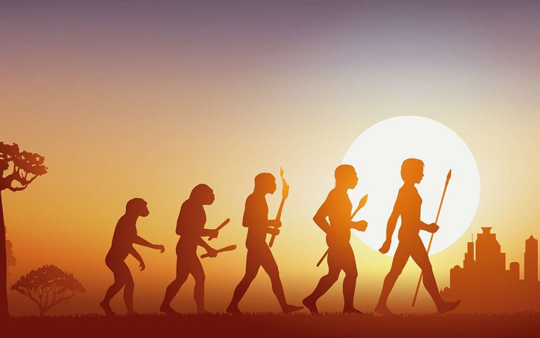 Penser l&rsquo;Afrique ou notre part d&rsquo;humanité